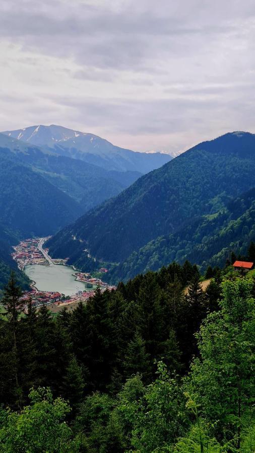 Yesil Kosk Hotel Uzungol Exterior photo